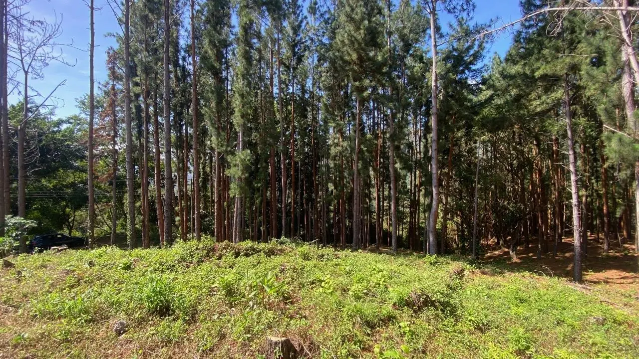 #44 Calle Livorno - Photo 13