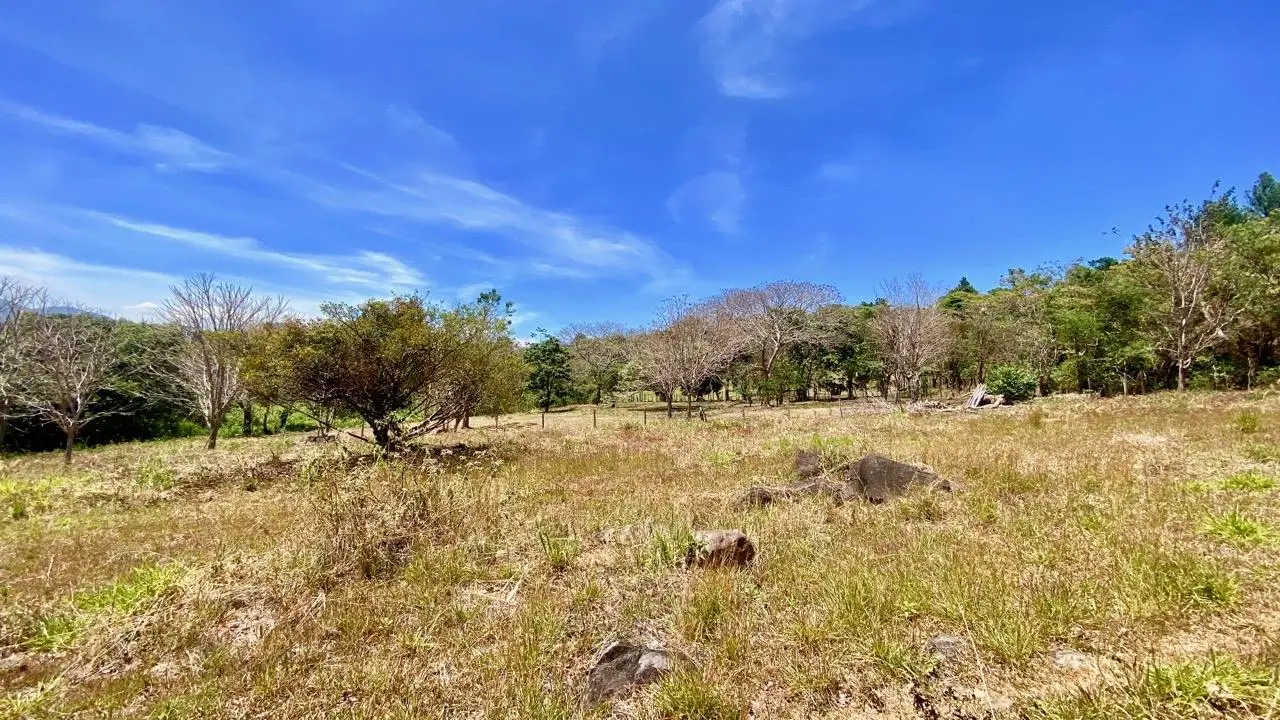 Private Road ##4 - Photo 28