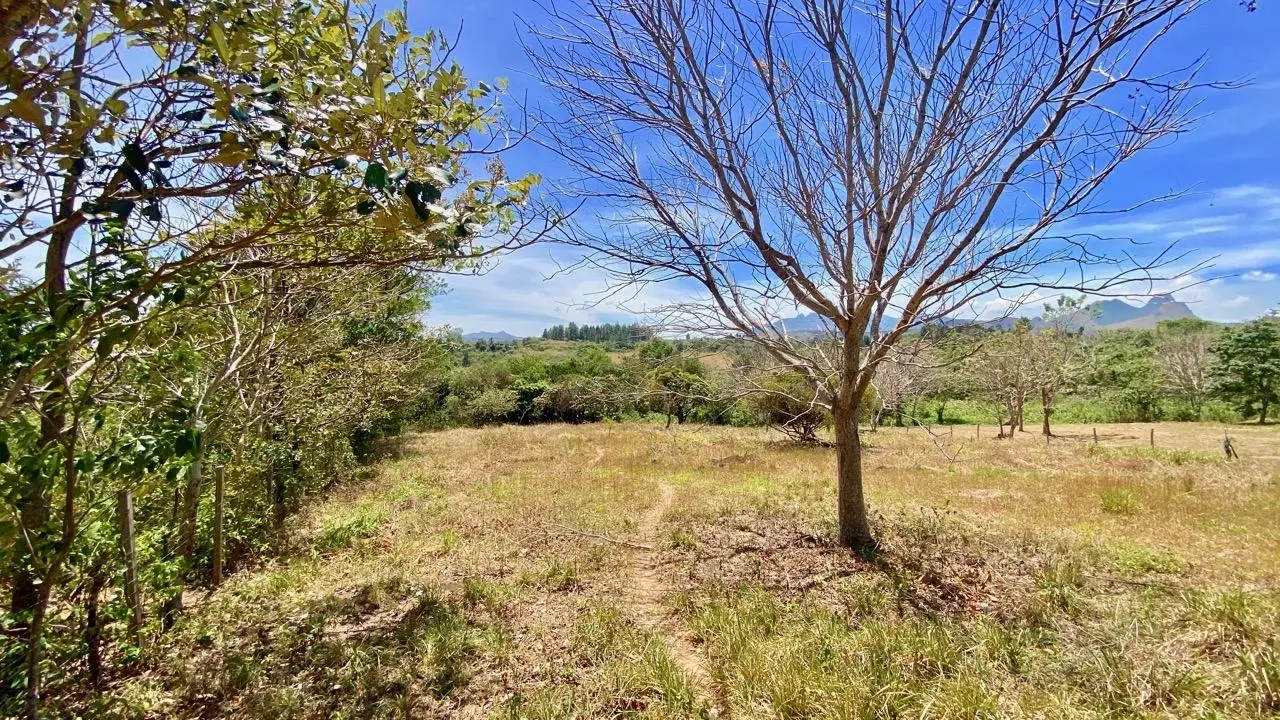 Private Road ##4 - Photo 32