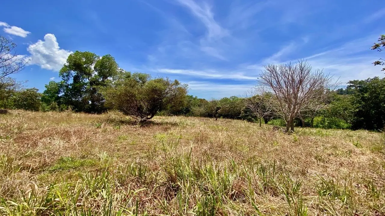 Private Road ##4 - Photo 15