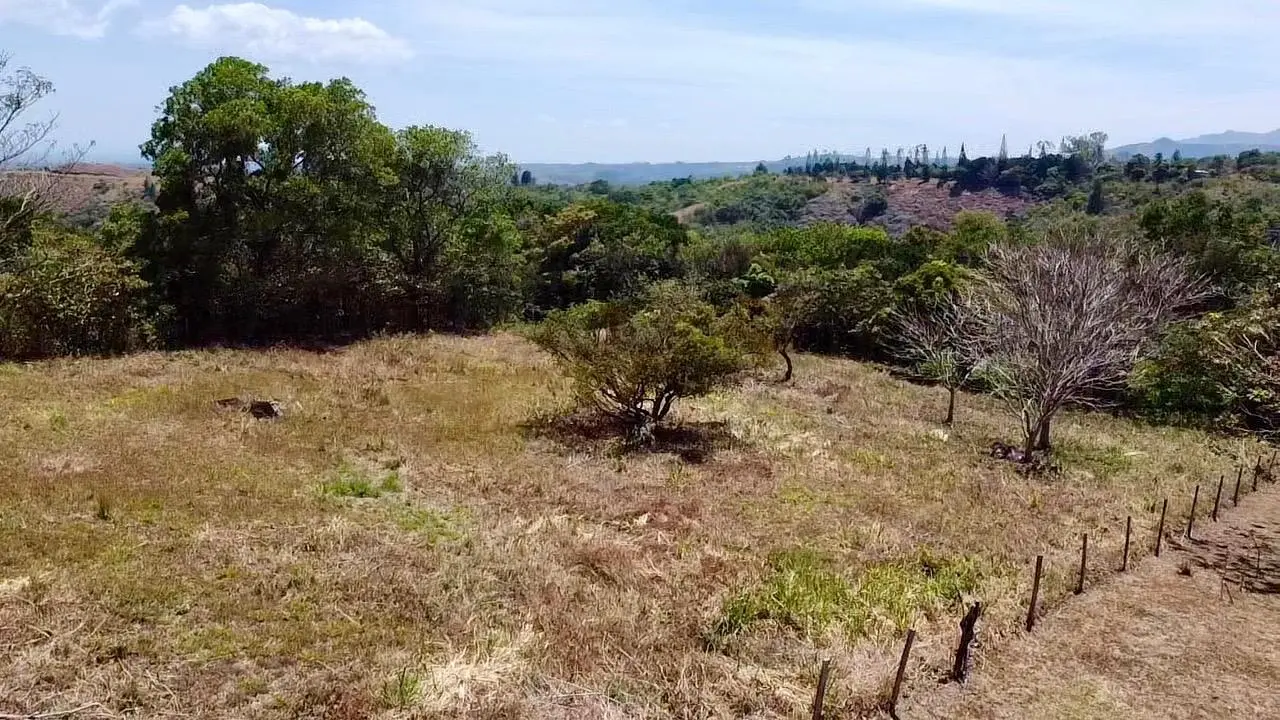 Private Road ##4 - Photo 53