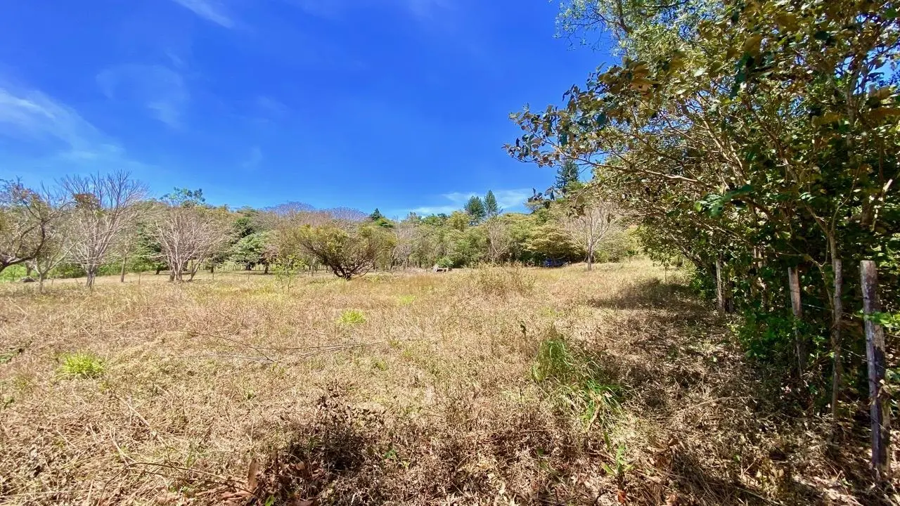 Private Road ##4 - Photo 23