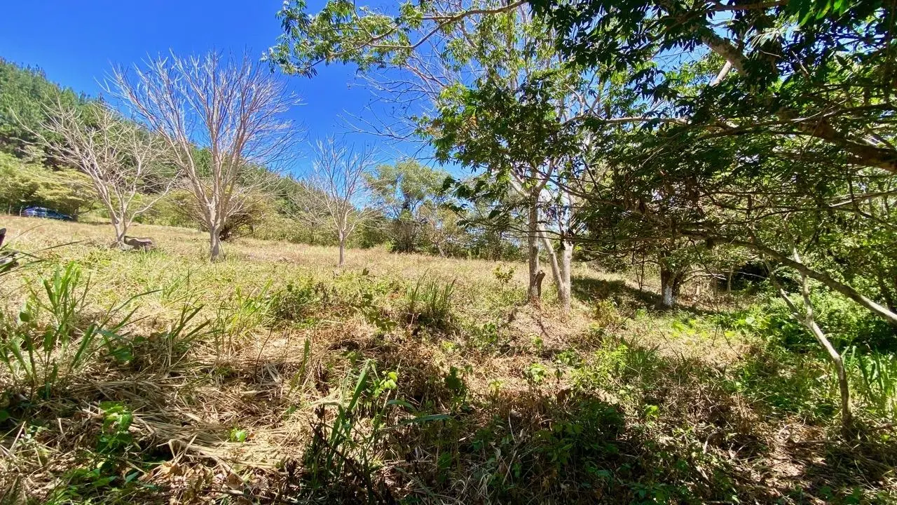 Private Road ##4 - Photo 17