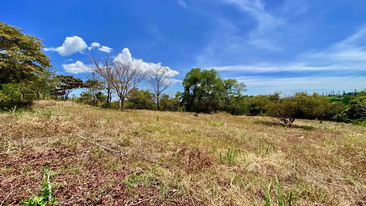 Private Road ##4 - Photo 12