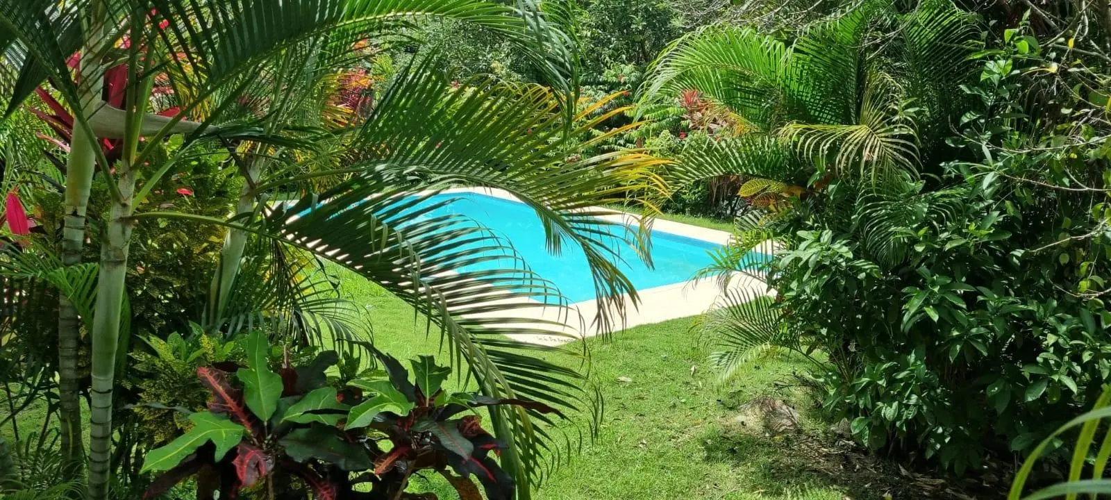 Valle Village 21b, Las Uvas #21b - Photo 67