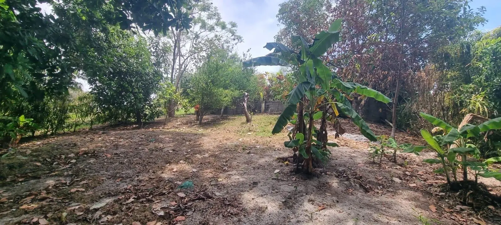 Valle Village 21b, Las Uvas #21b - Photo 53