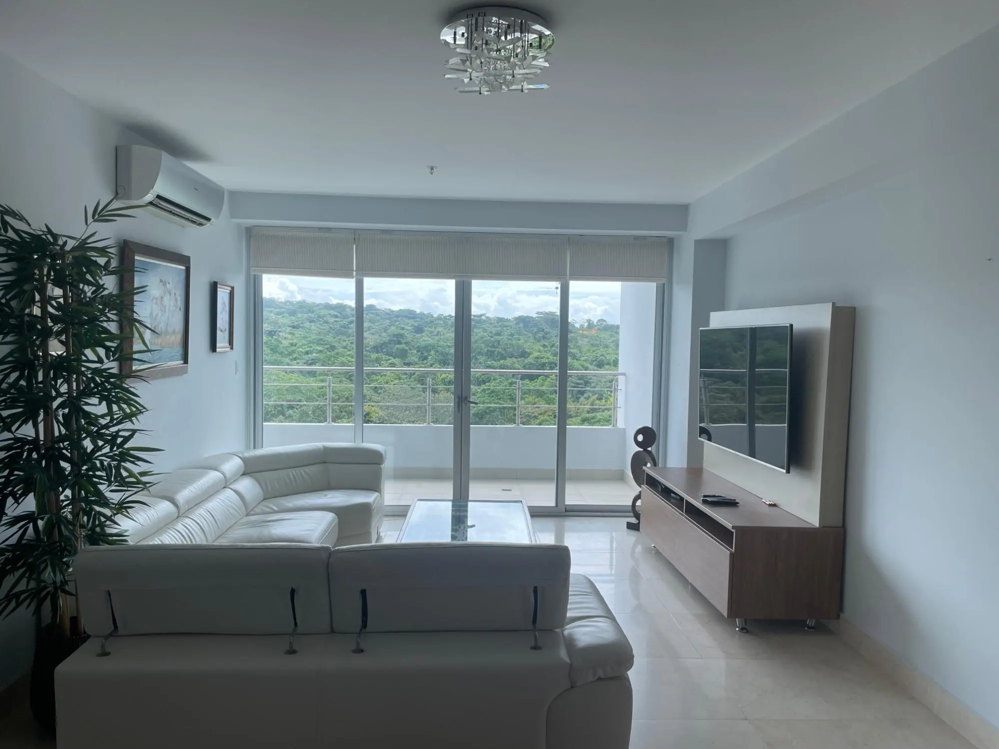 7h Via Hacia Veracruz, Casa Bonita, Playa Bonita #7h - Photo 4