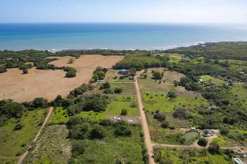 Via Haciendas Del Toro - Photo 5