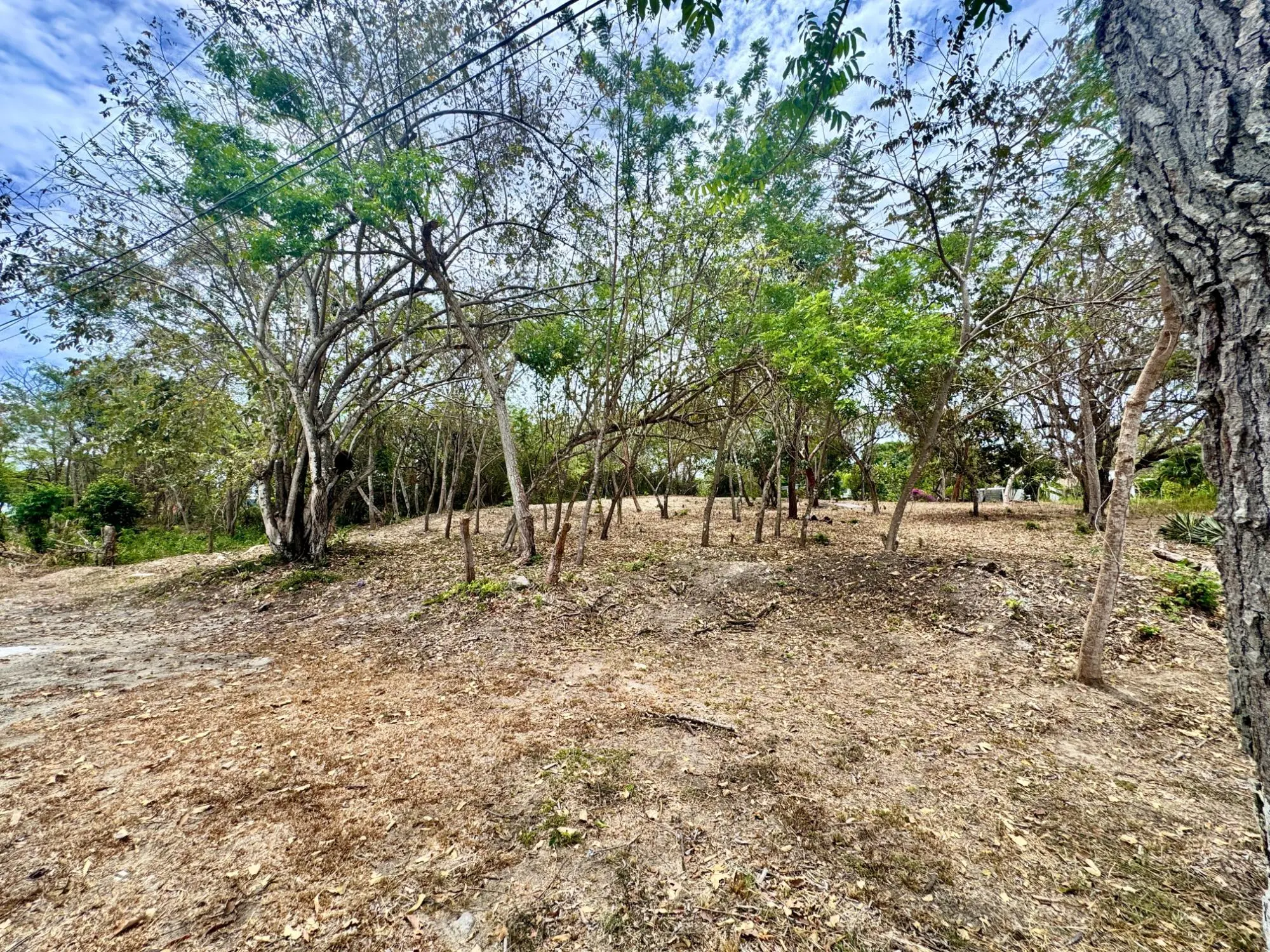 Terreno En Rio Mar - Photo 4