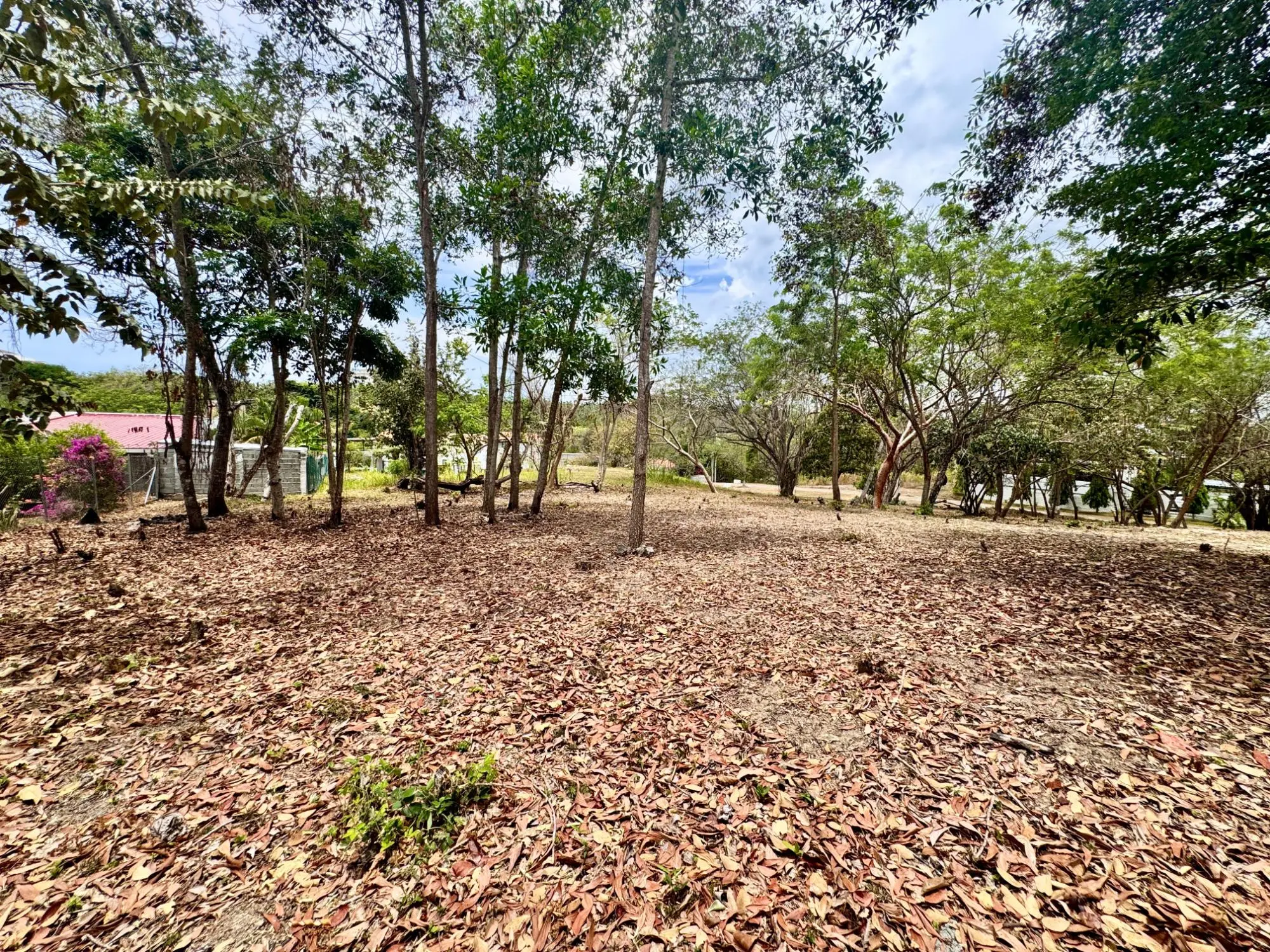 Terreno En Rio Mar - Photo 7