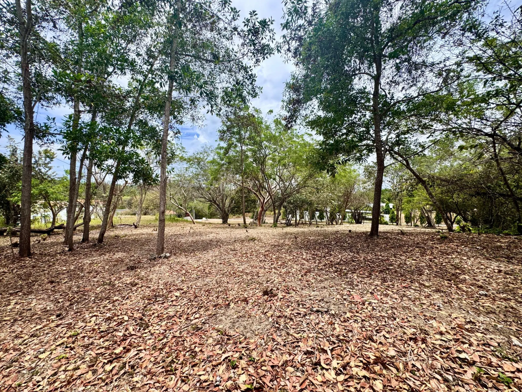 Terreno En Rio Mar - Photo 6