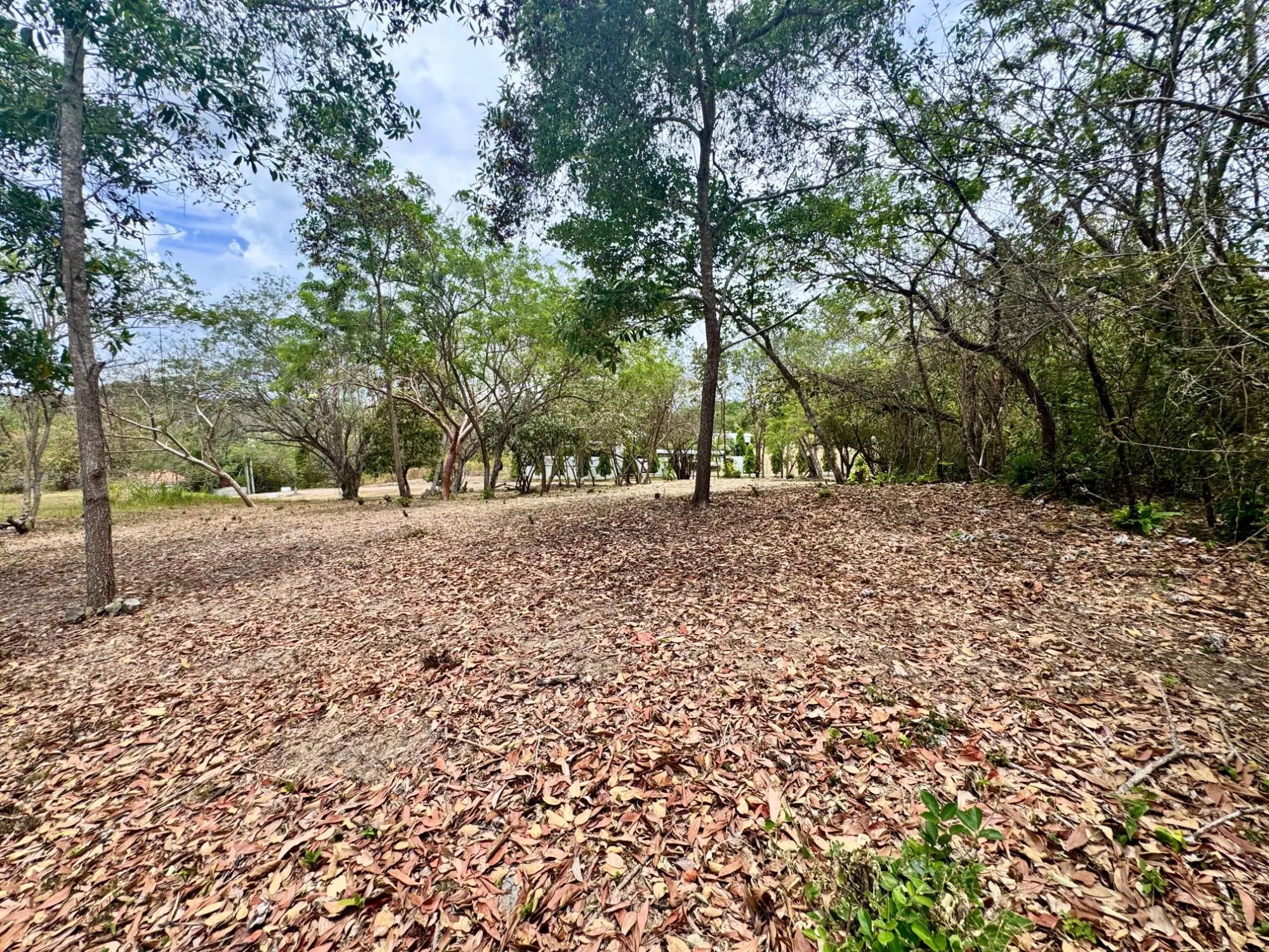 Terreno En Rio Mar - Photo 8