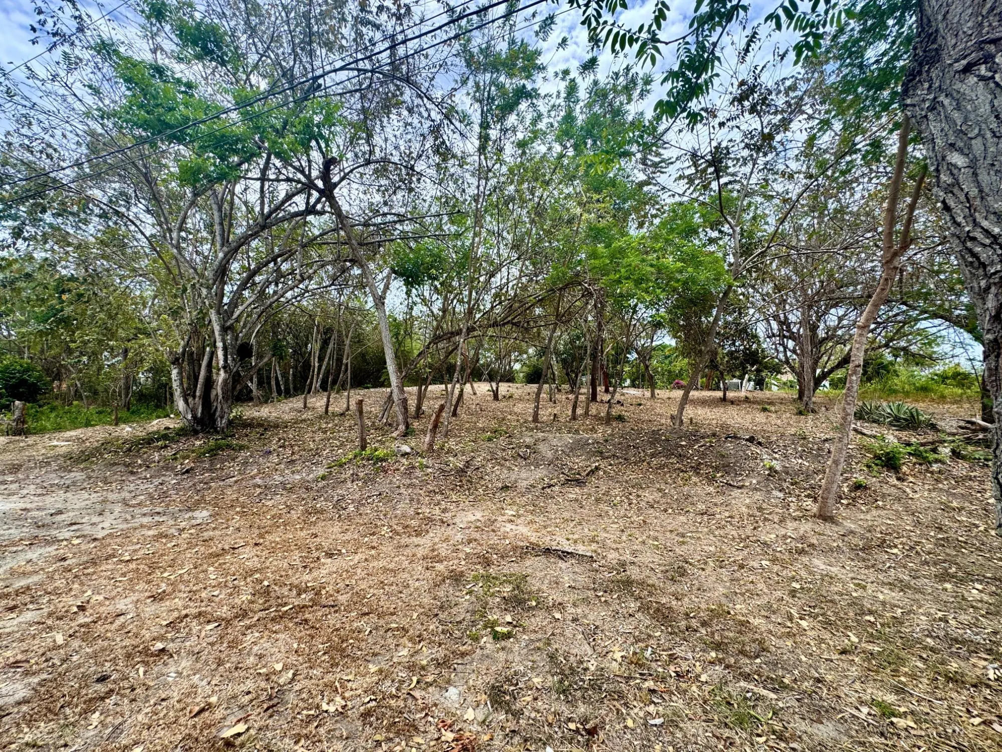 Terreno En Rio Mar - Photo 3