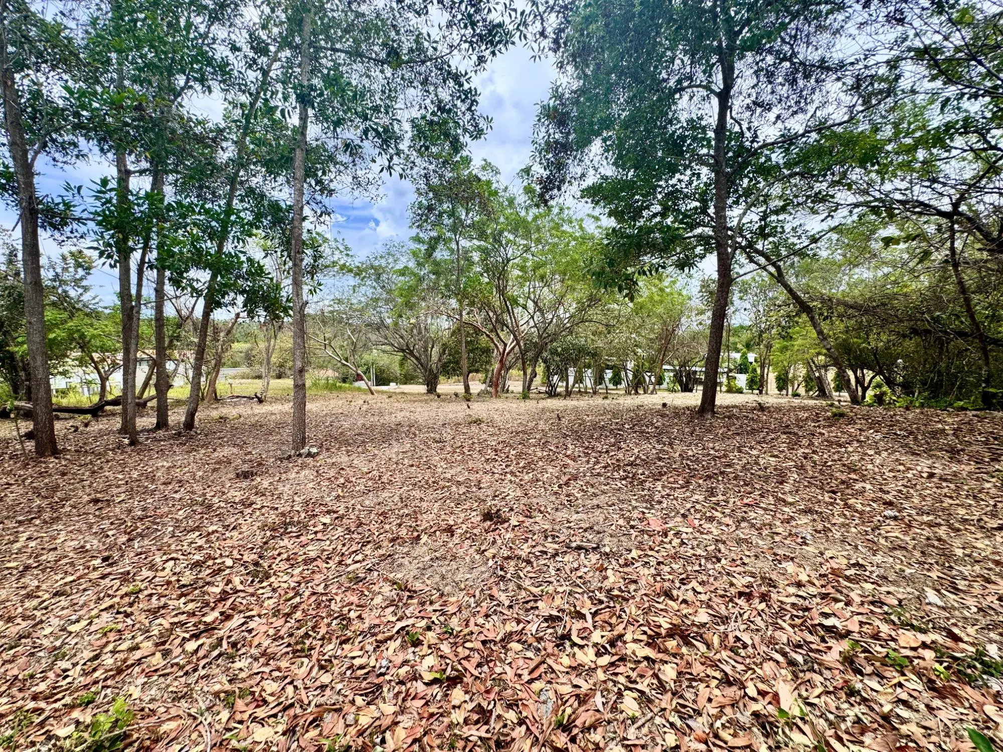 Terreno En Rio Mar - Photo 9