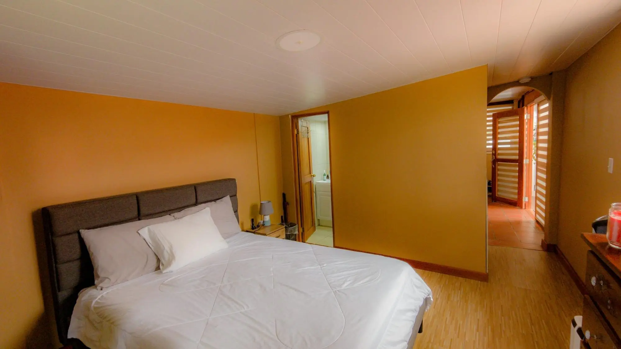 Avenida Buenos Aires, Sector De Palo Alto, Boquete - Photo 61