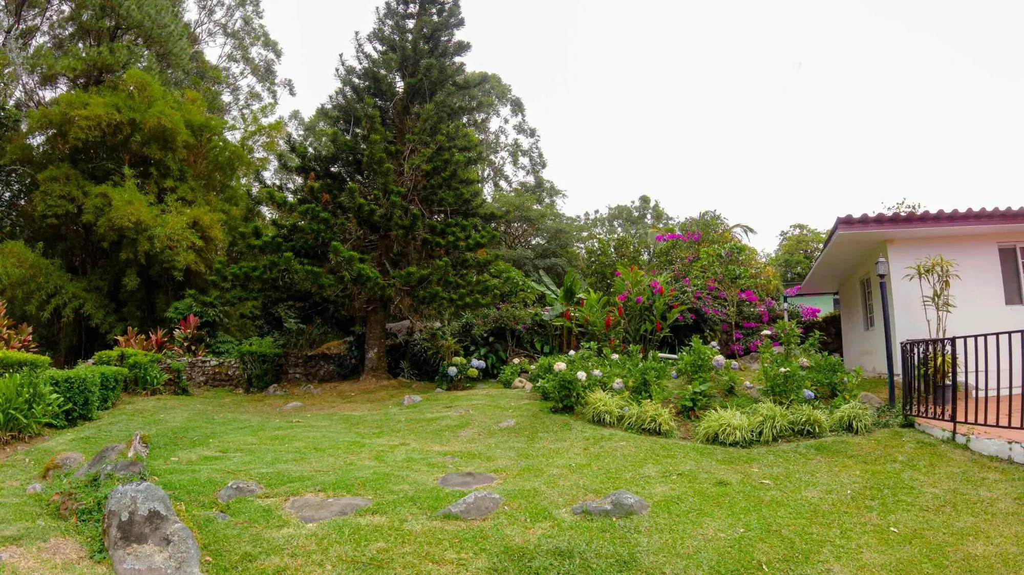 Avenida Buenos Aires, Sector De Palo Alto, Boquete - Photo 77