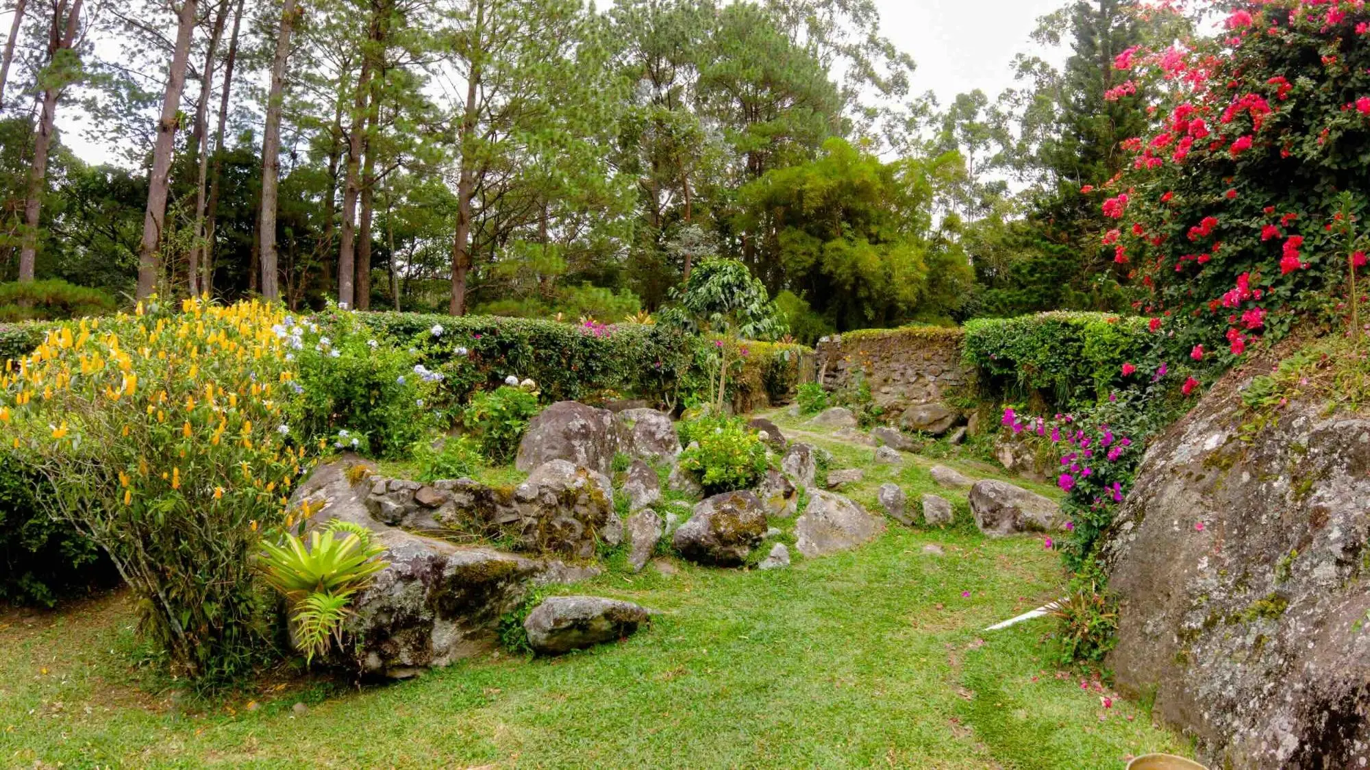 Avenida Buenos Aires, Sector De Palo Alto, Boquete - Photo 80