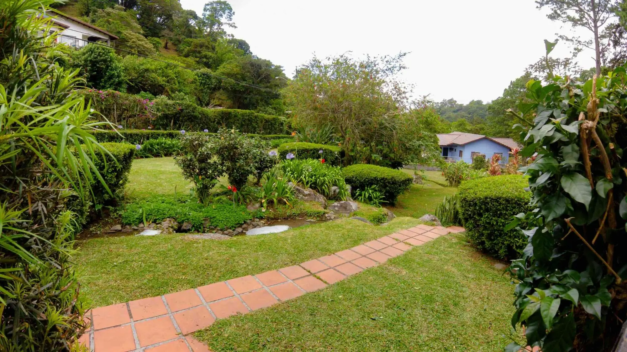 Avenida Buenos Aires, Sector De Palo Alto, Boquete - Photo 75