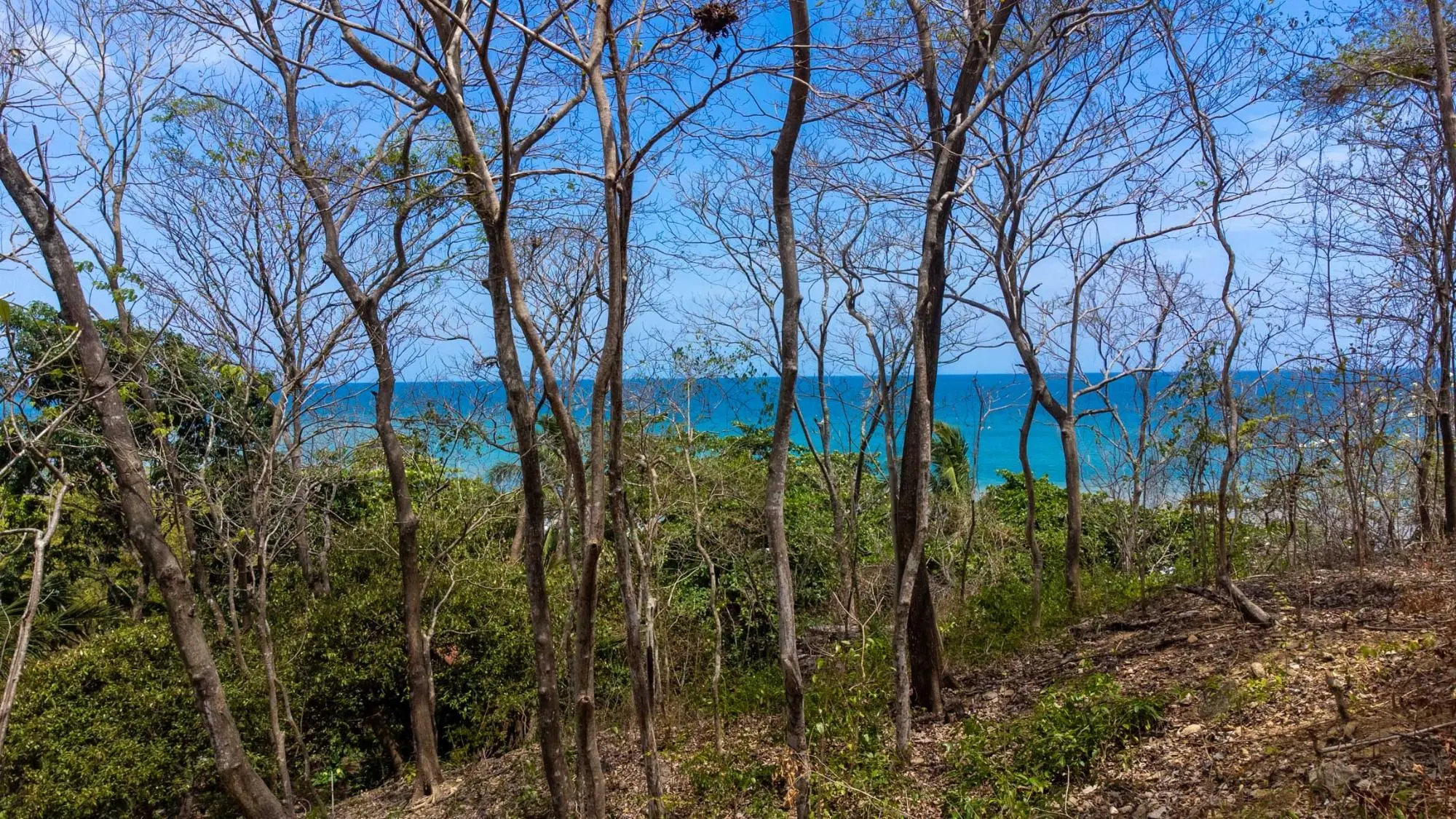 Cambutal Azuero Peninsula Los Santos - Photo 37