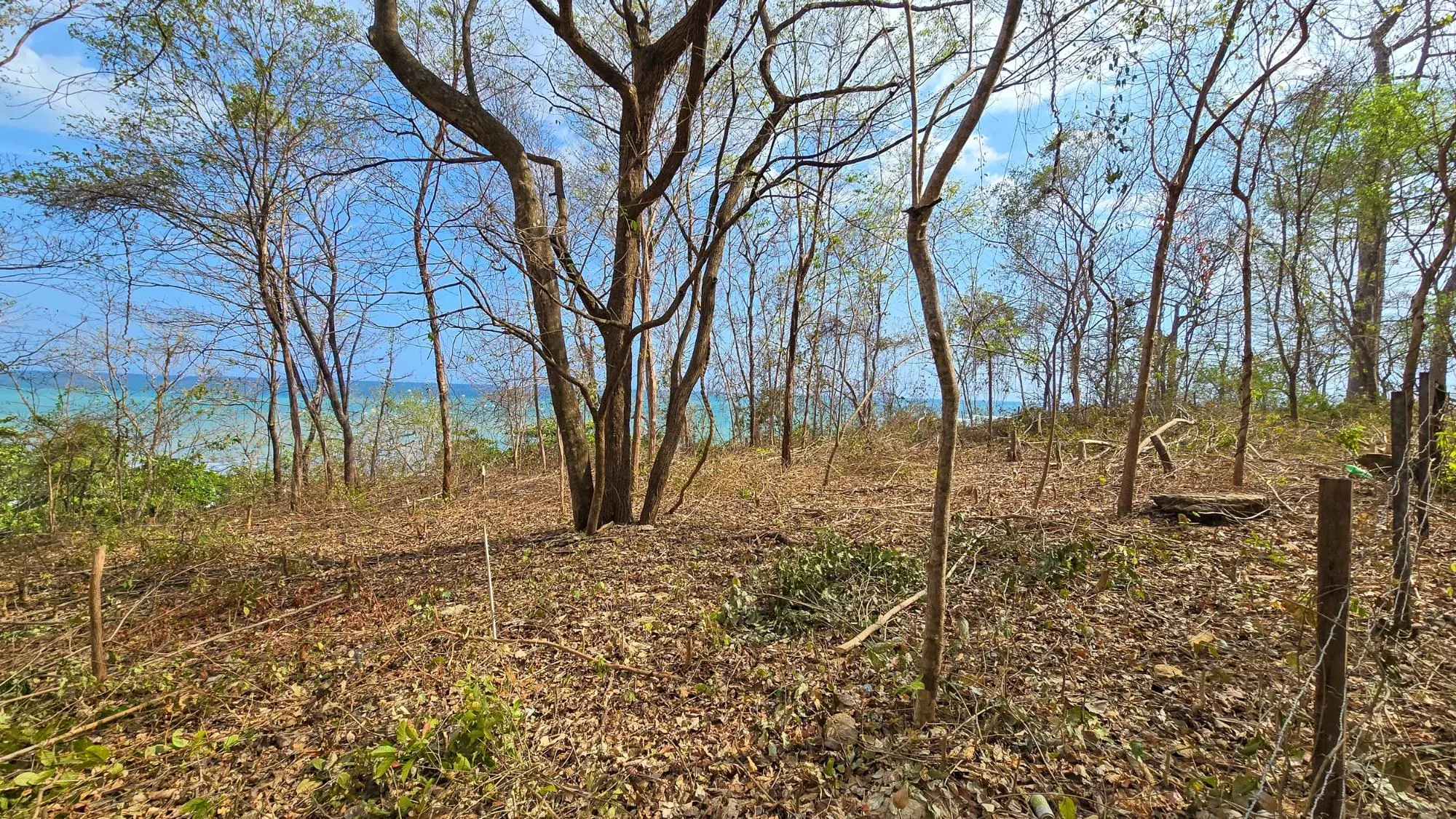 Cambutal Azuero Peninsula Los Santos - Photo 5