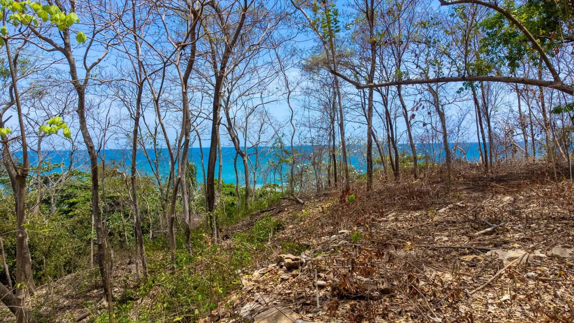 Cambutal Azuero Peninsula Los Santos - Photo 42