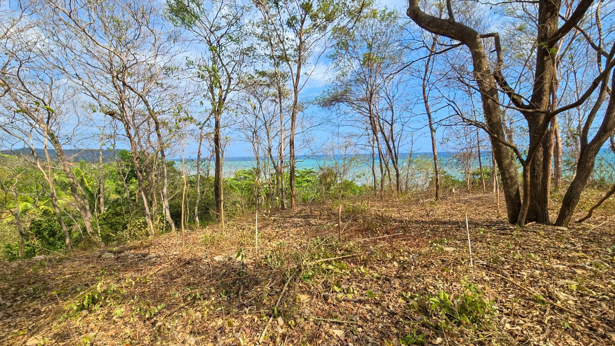 Cambutal Azuero Peninsula Los Santos - Photo 30