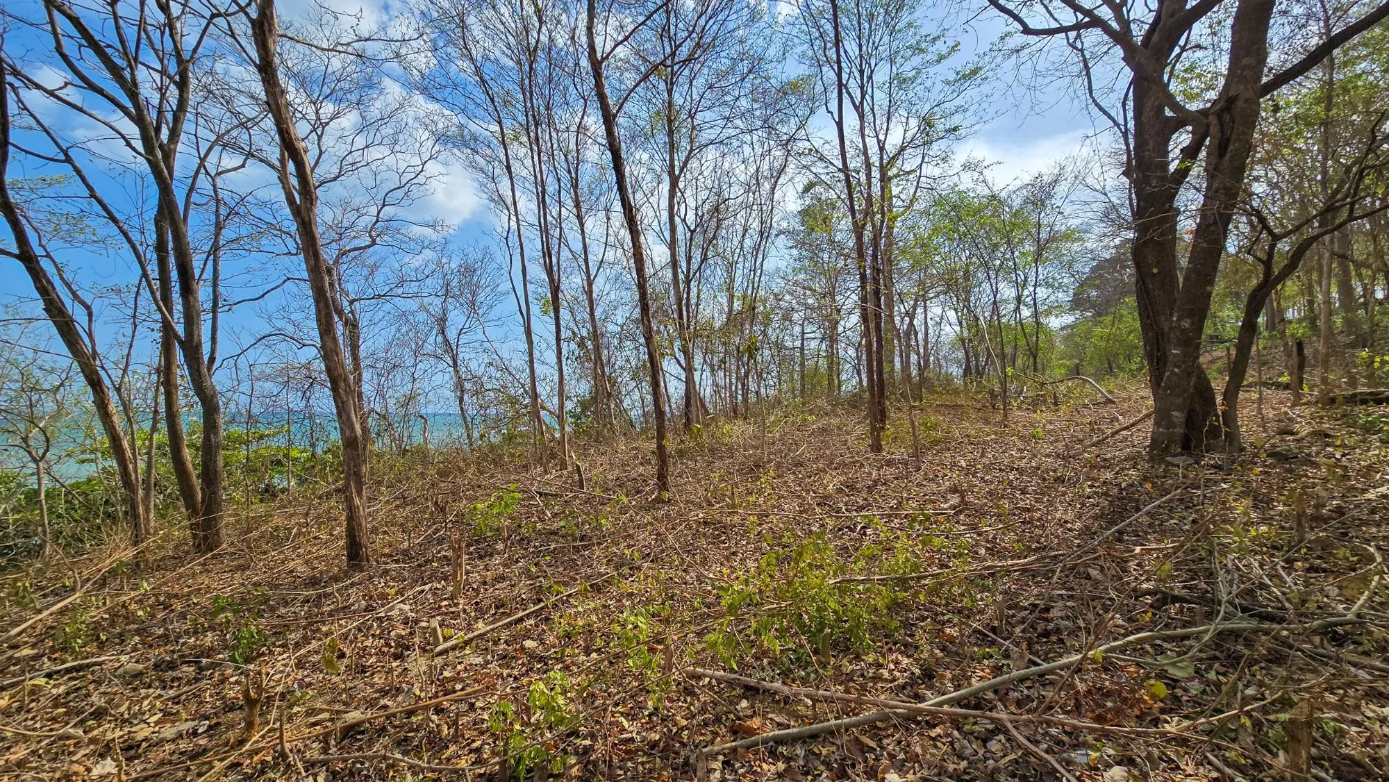 Cambutal Azuero Peninsula Los Santos - Photo 10