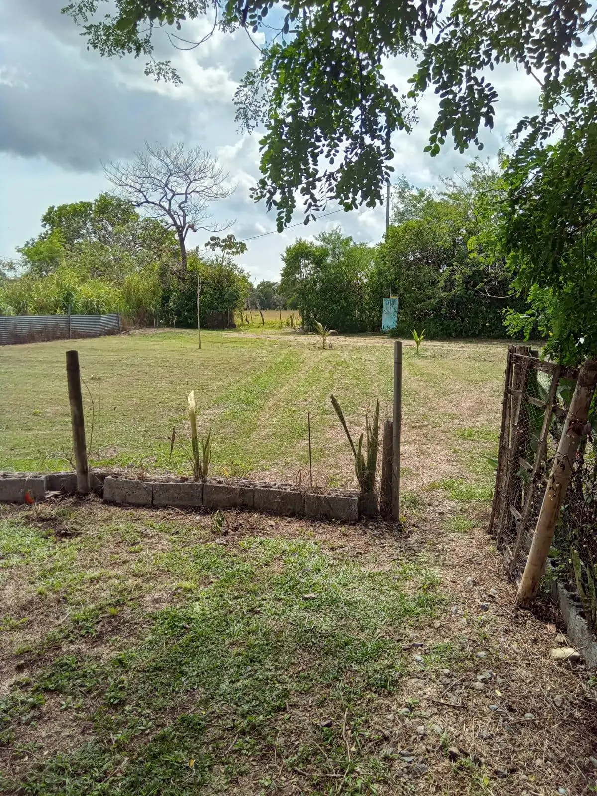 Dolega, Chiriqui, Panama - Photo 15