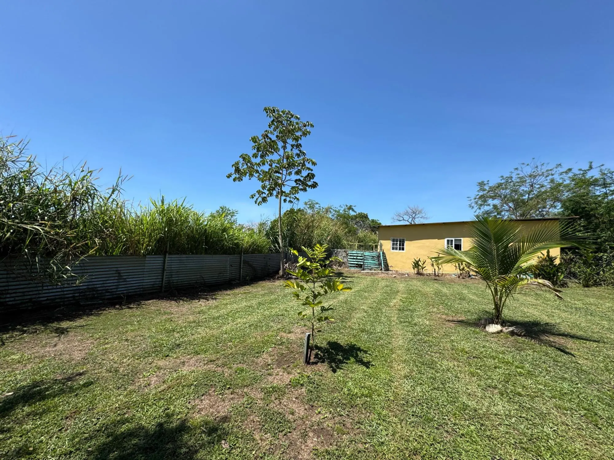 Dolega, Chiriqui, Panama - Photo 140