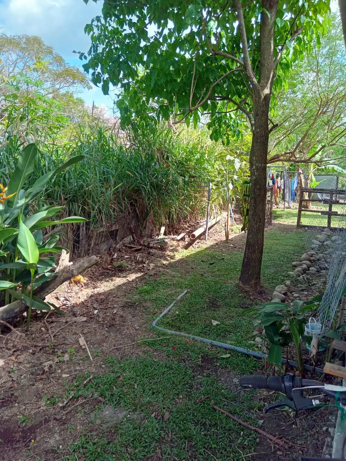 Dolega, Chiriqui, Panama - Photo 75