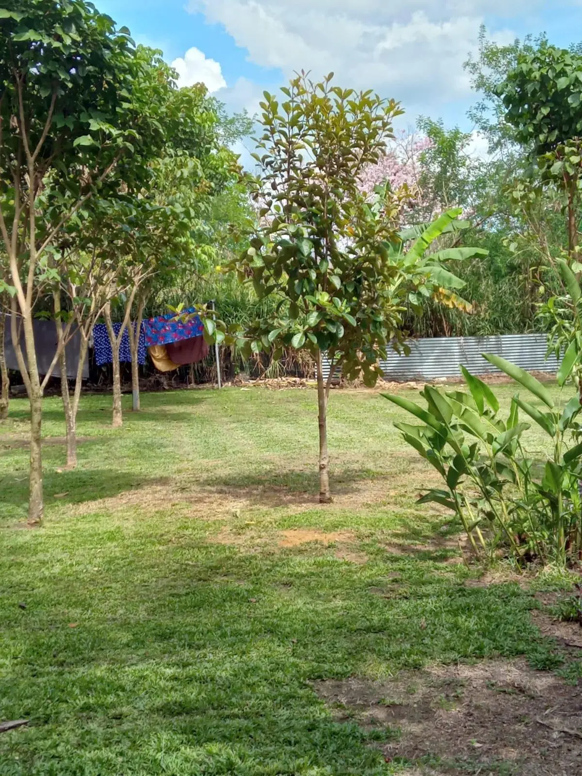 Dolega, Chiriqui, Panama - Photo 30