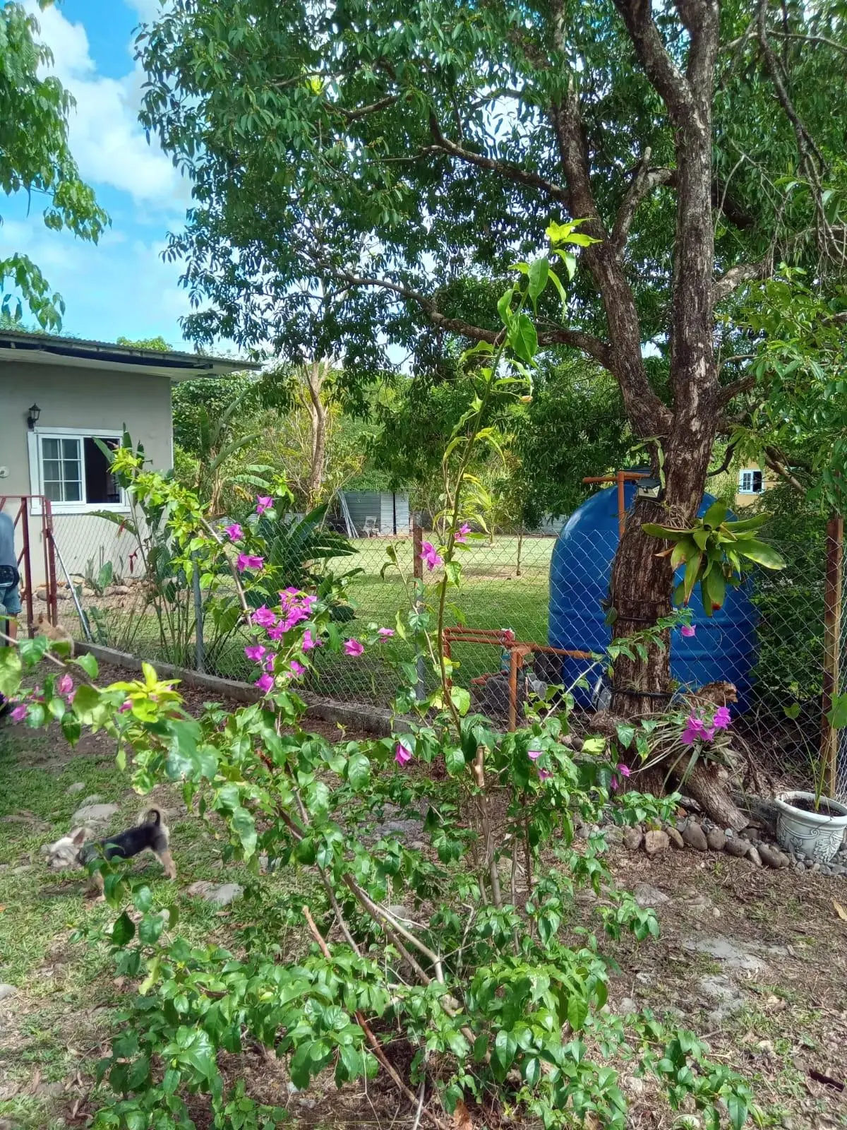 Dolega, Chiriqui, Panama - Photo 31