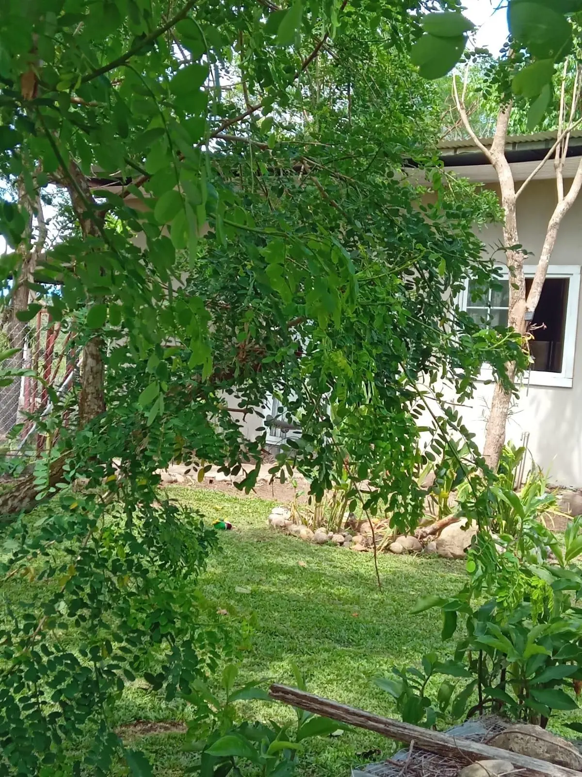 Dolega, Chiriqui, Panama - Photo 35