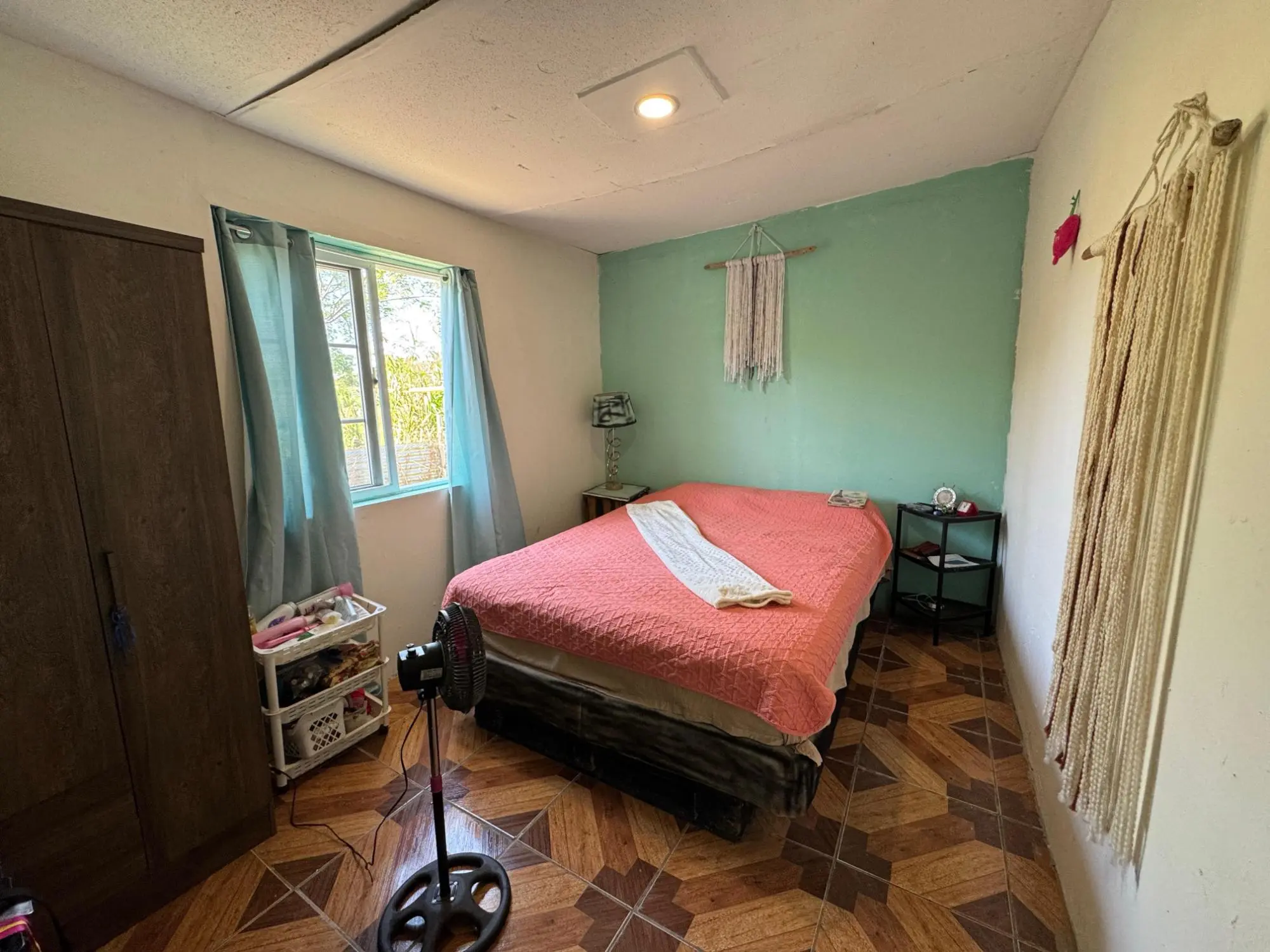 Dolega, Chiriqui, Panama - Photo 90