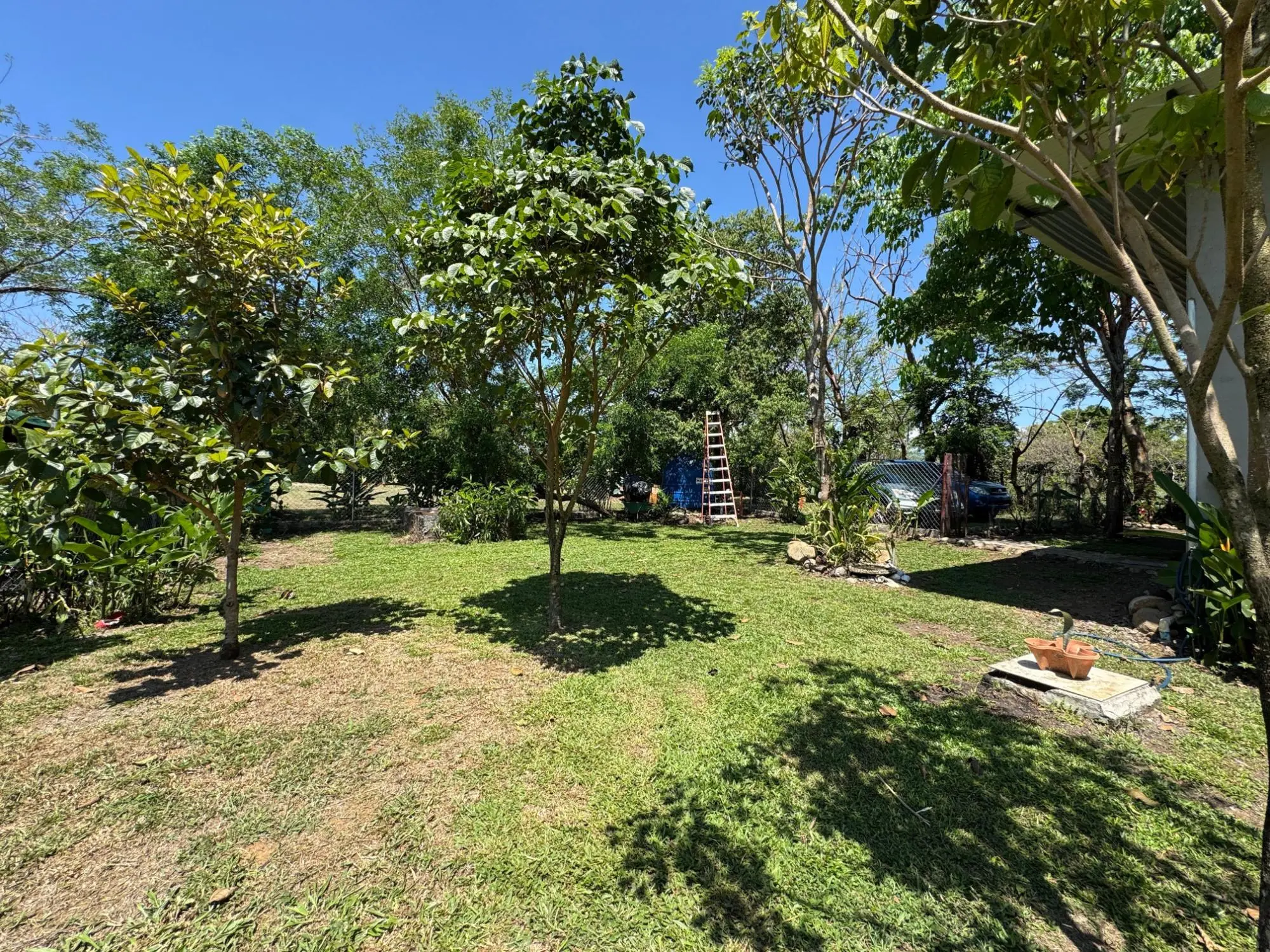 Dolega, Chiriqui, Panama - Photo 137