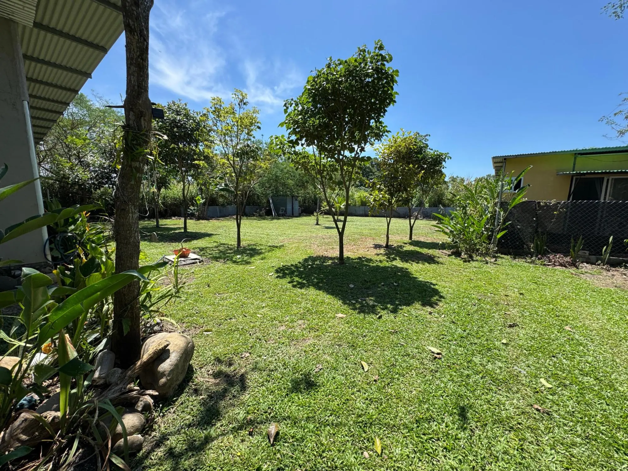 Dolega, Chiriqui, Panama - Photo 131