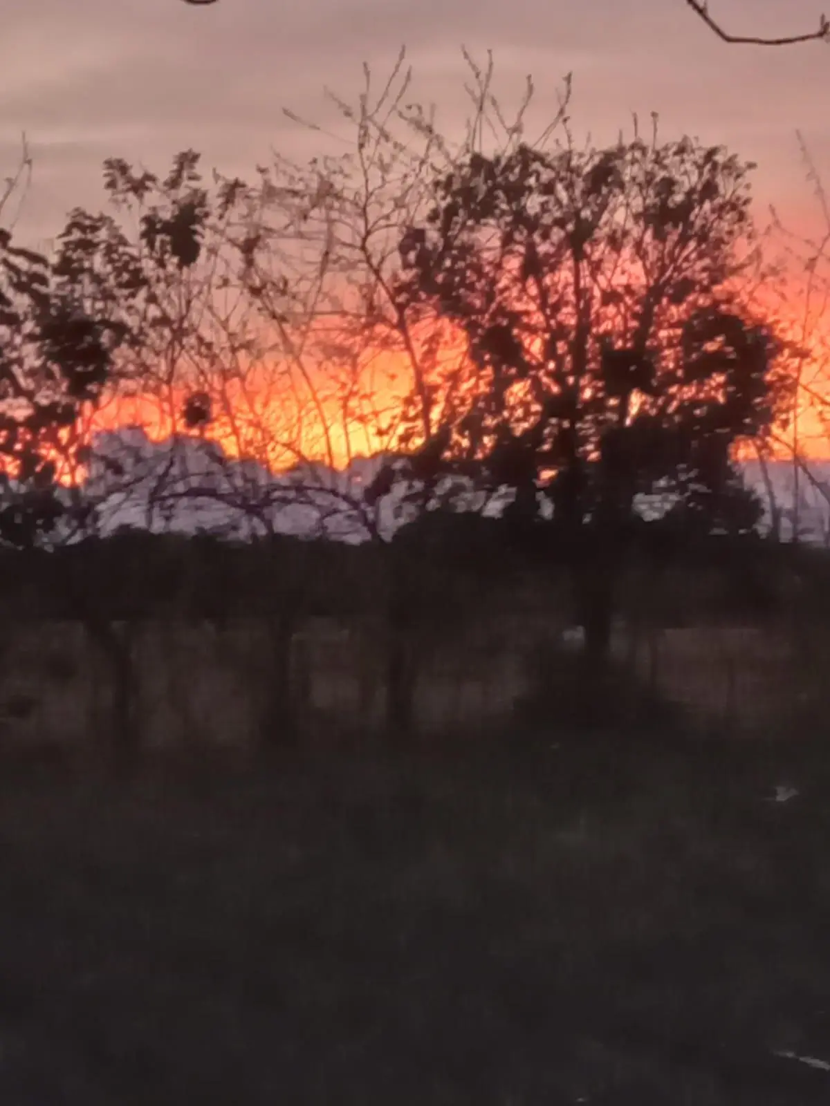 Dolega, Chiriqui, Panama - Photo 26