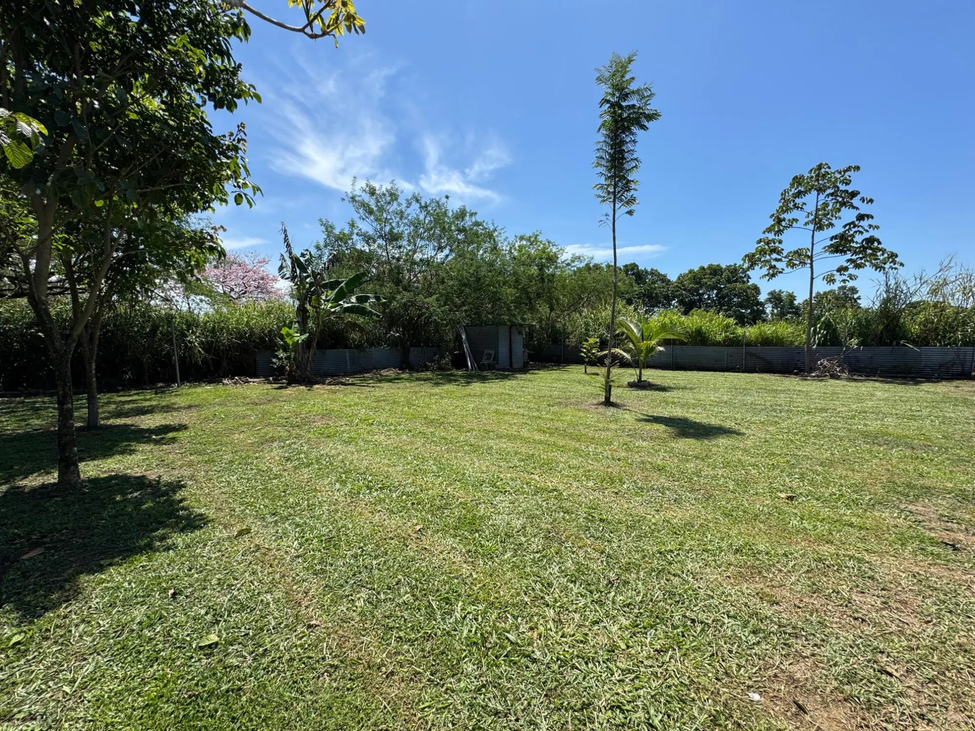 Dolega, Chiriqui, Panama - Photo 135