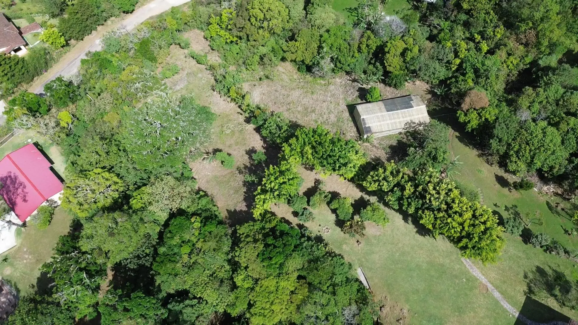 Jaramillo, Boquete, Chiriqui, Panama - Photo 45