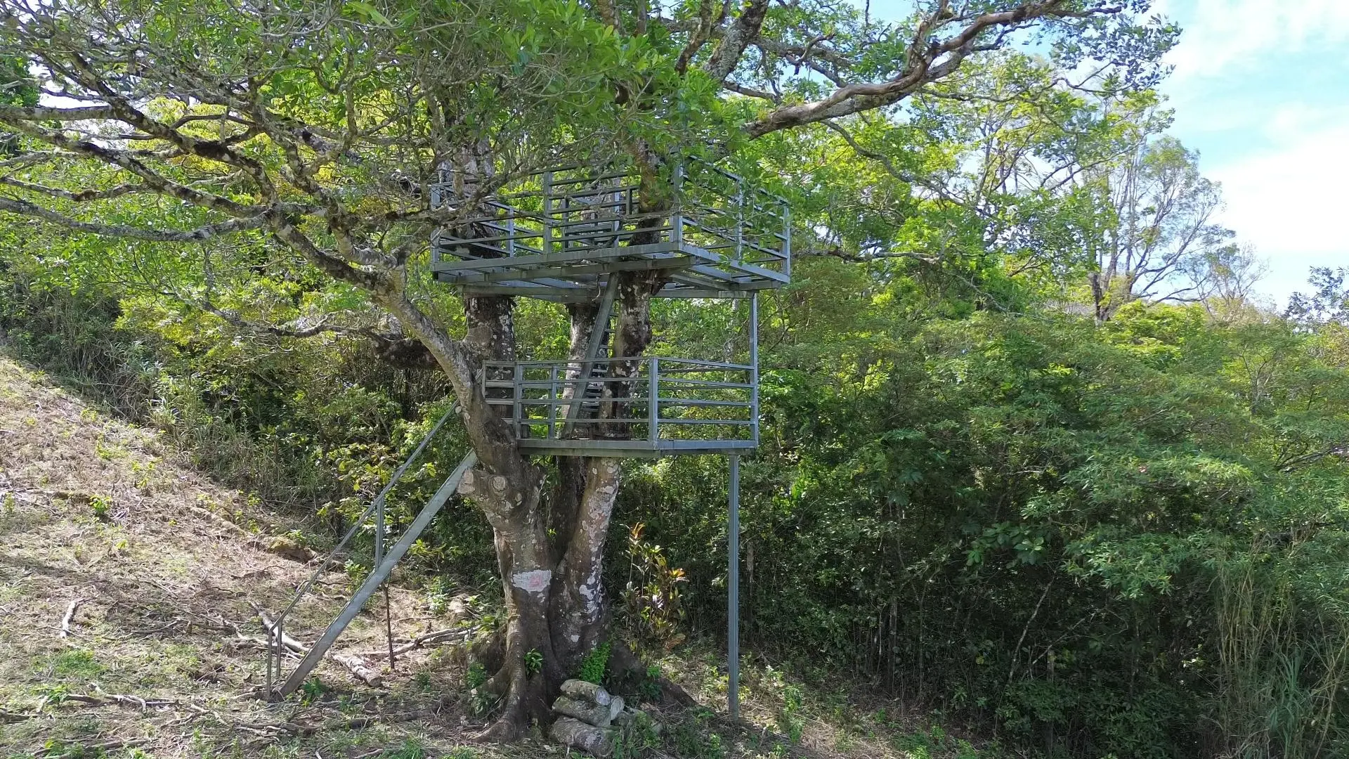 Jaramillo, Boquete, Chiriqui, Panama - Photo 17