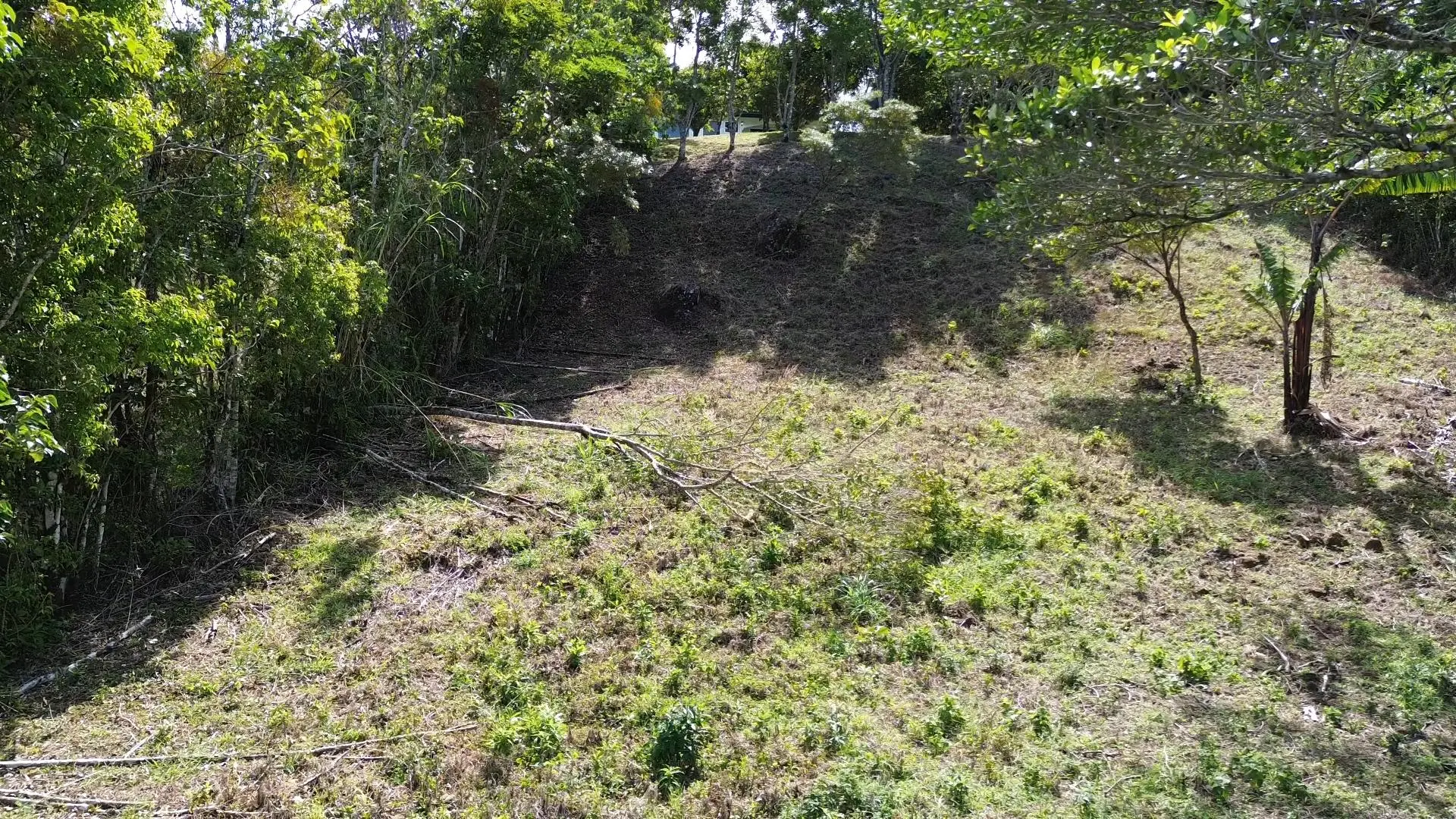 Jaramillo, Boquete, Chiriqui, Panama - Photo 19