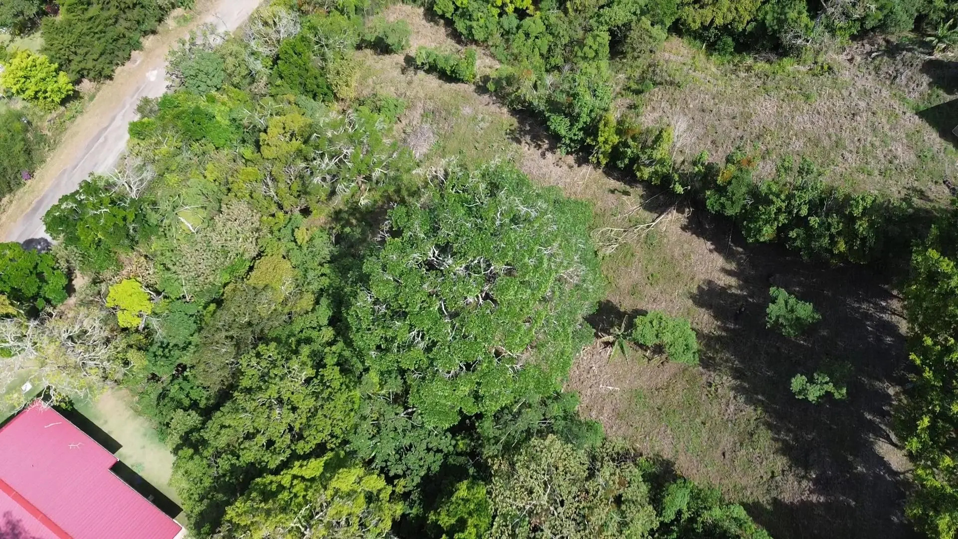 Jaramillo, Boquete, Chiriqui, Panama - Photo 54