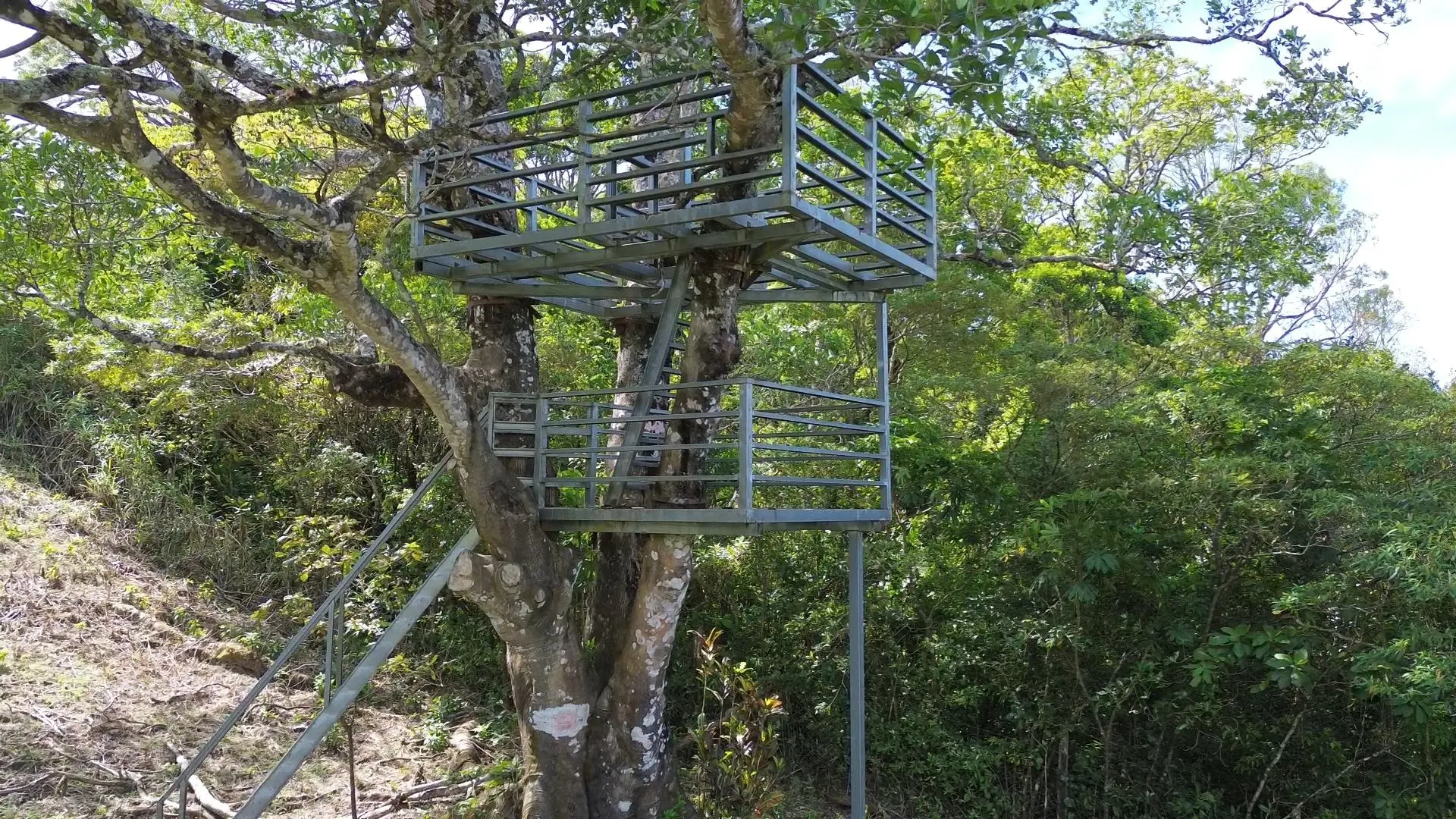 Jaramillo, Boquete, Chiriqui, Panama - Photo 15