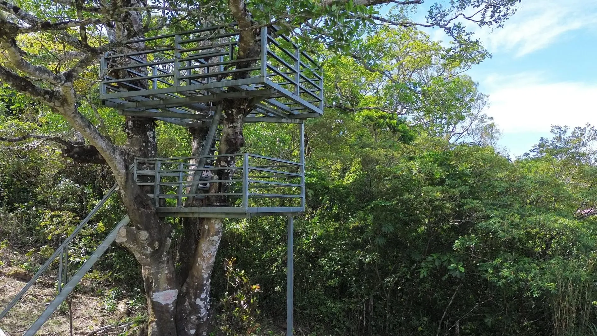 Jaramillo, Boquete, Chiriqui, Panama - Photo 12