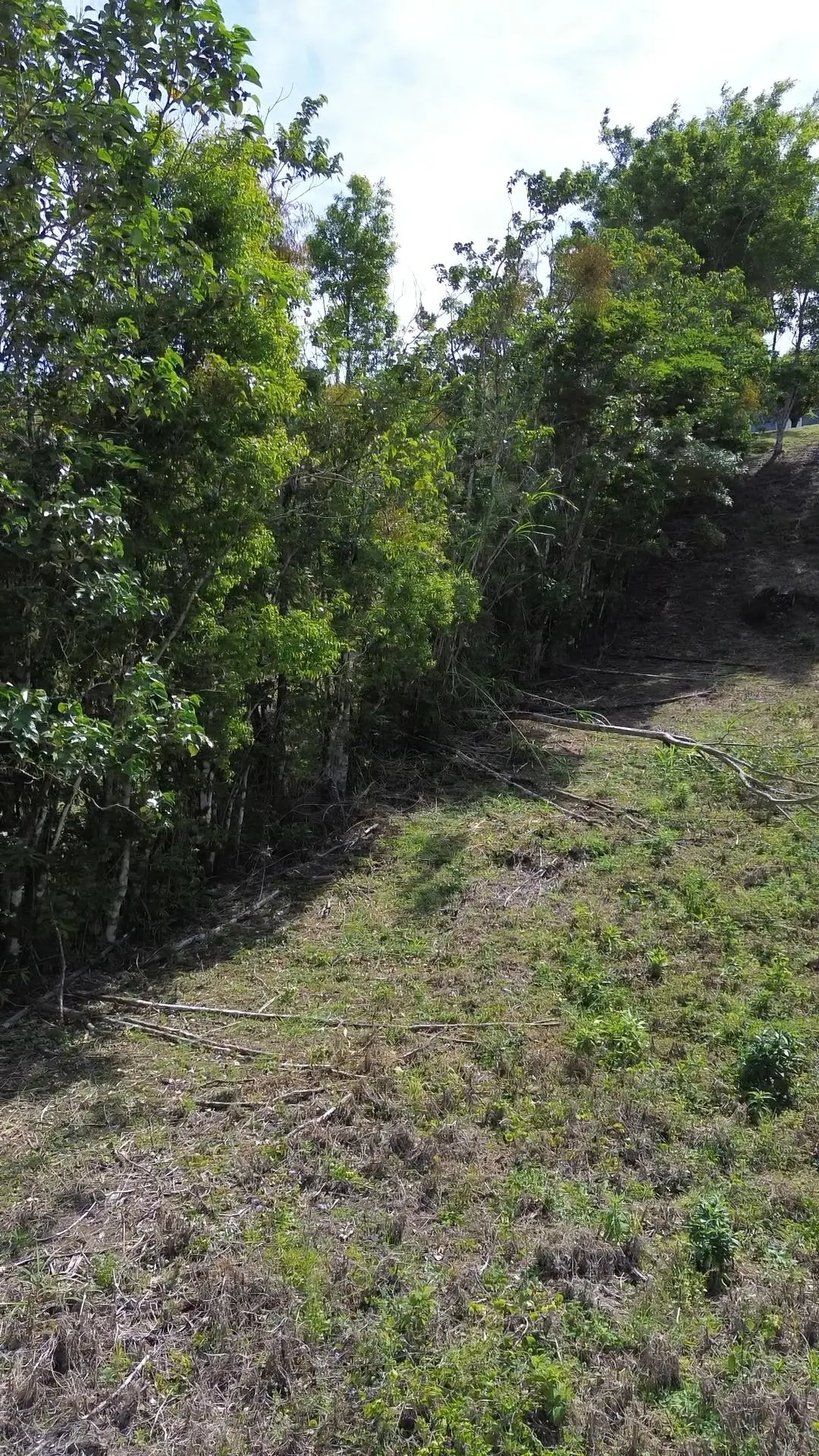 Jaramillo, Boquete, Chiriqui, Panama - Photo 25