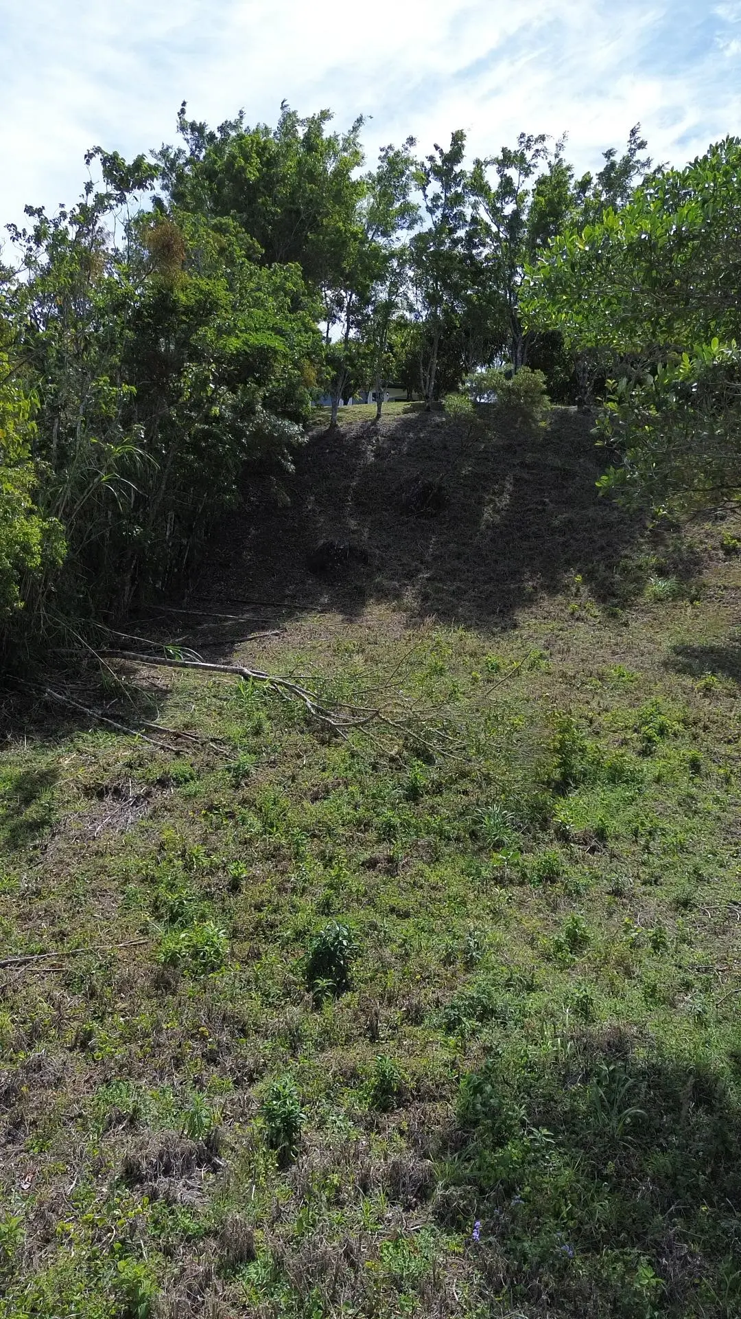 Jaramillo, Boquete, Chiriqui, Panama - Photo 24