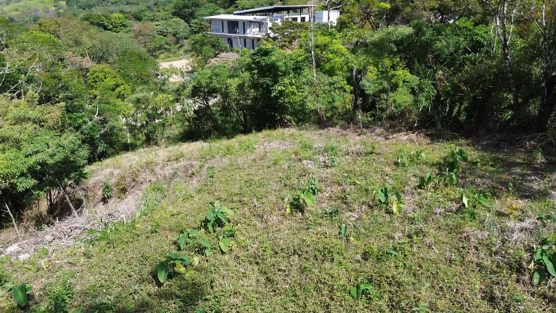 Jaramillo, Boquete, Chiriqui, Panama - Photo 7