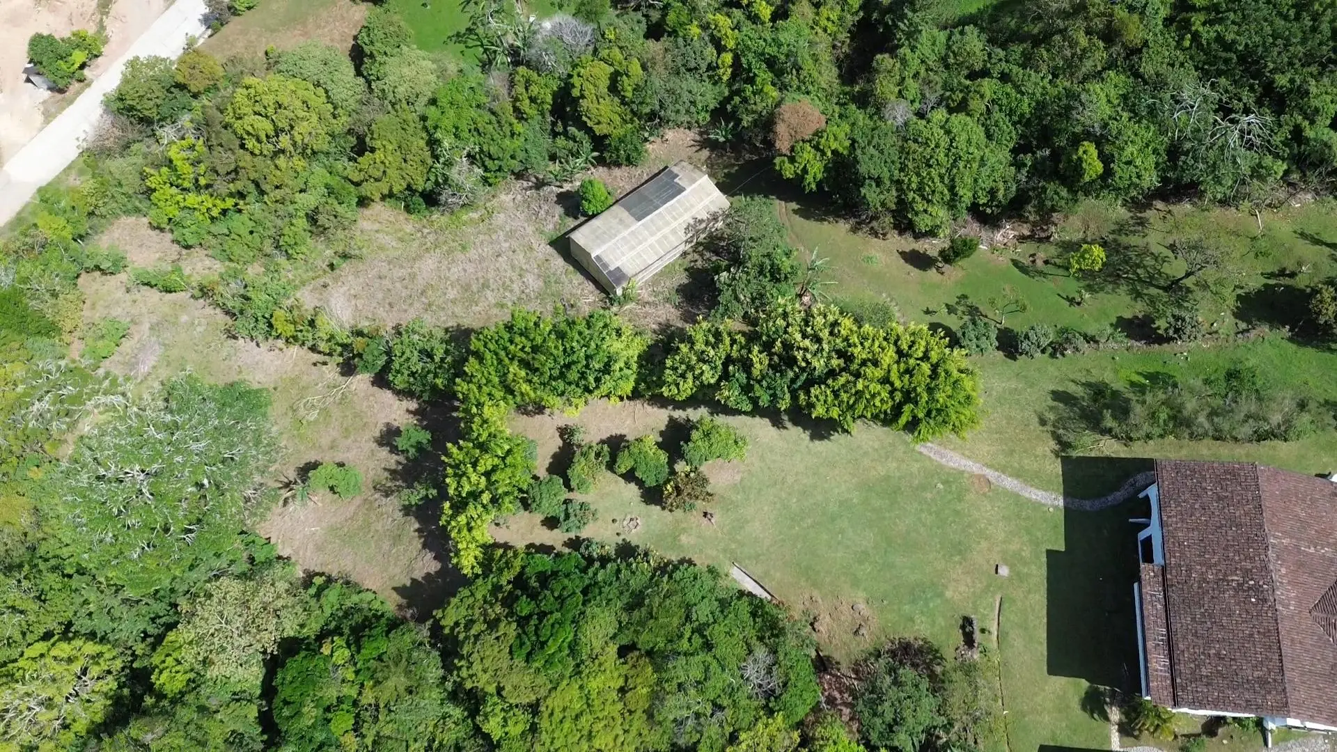 Jaramillo, Boquete, Chiriqui, Panama - Photo 2