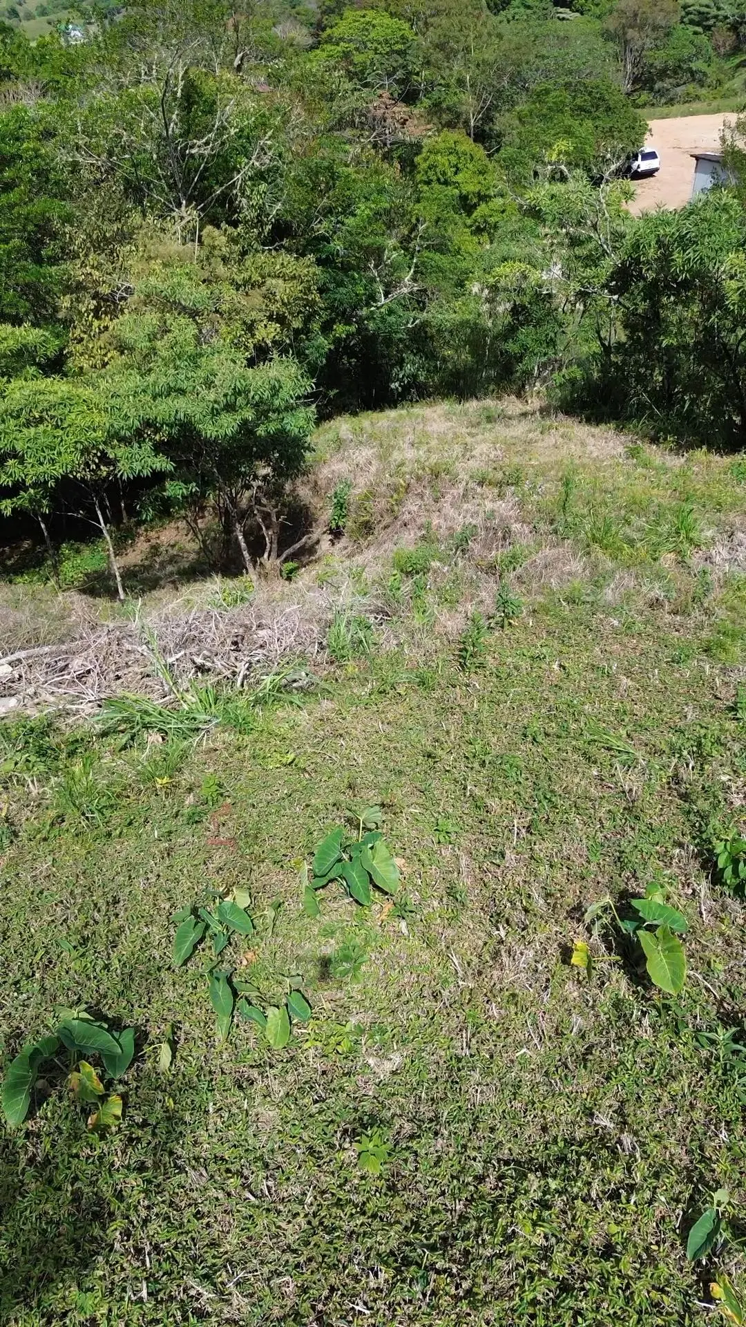 Jaramillo, Boquete, Chiriqui, Panama - Photo 30