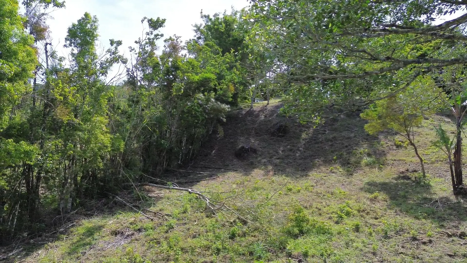 Jaramillo, Boquete, Chiriqui, Panama - Photo 5